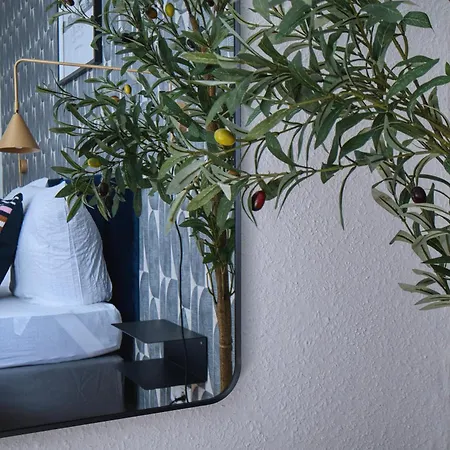 Guest house Downtown City-center - Zachastay 3*
